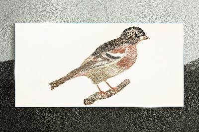Tableau en verre Un oiseau sur une branche