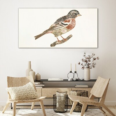 Tableau en verre Un oiseau sur une branche