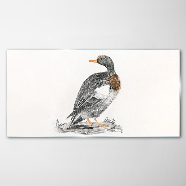 Tableau photo sur verre Un canard sur fond blanc