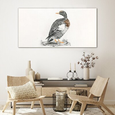 Tableau photo sur verre Un canard sur fond blanc