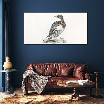 Tableau photo sur verre Un canard sur fond blanc