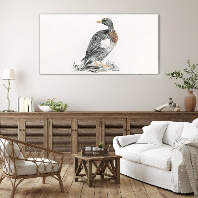 Tableau photo sur verre Un canard sur fond blanc