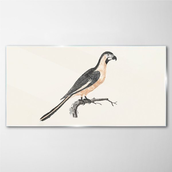 Tableau imprimé sur verre Un oiseau sur une branche