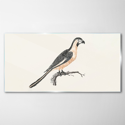 Tableau imprimé sur verre Un oiseau sur une branche