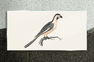 Tableau imprimé sur verre Un oiseau sur une branche