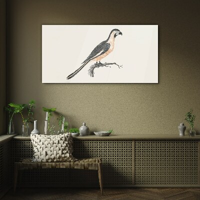 Tableau imprimé sur verre Un oiseau sur une branche