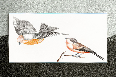 Tableau photo sur verre Oiseaux en vol et sur une branche
