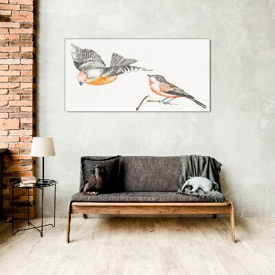 Tableau photo sur verre Oiseaux en vol et sur une branche