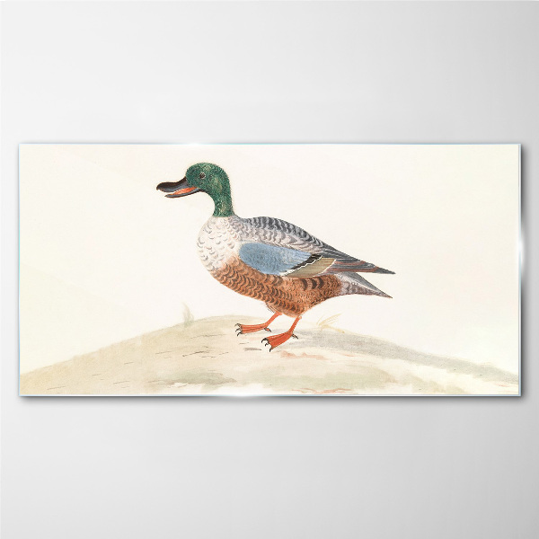 Tableau en verre Un canard sur un fond de couleurs délicates