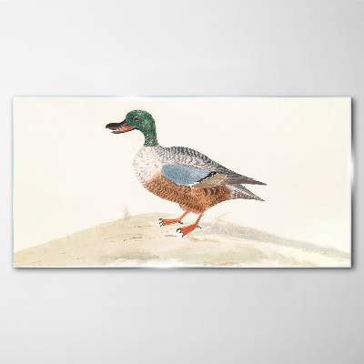Tableau en verre Un canard sur un fond de couleurs délicates