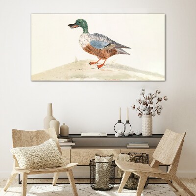Tableau en verre Un canard sur un fond de couleurs délicates