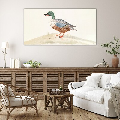 Tableau en verre Un canard sur un fond de couleurs délicates