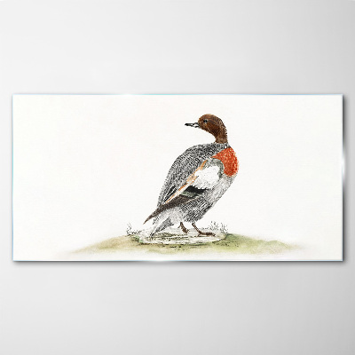Tableau verre imprimé Canard sur fond naturel