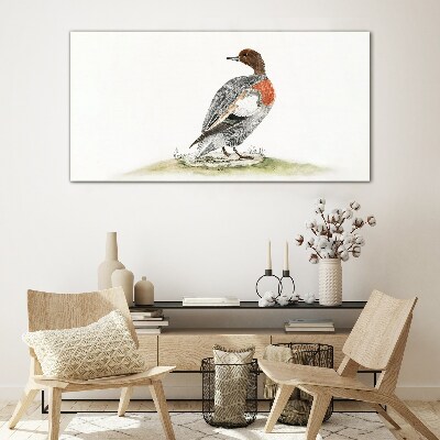 Tableau verre imprimé Canard sur fond naturel