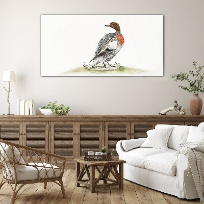 Tableau verre imprimé Canard sur fond naturel
