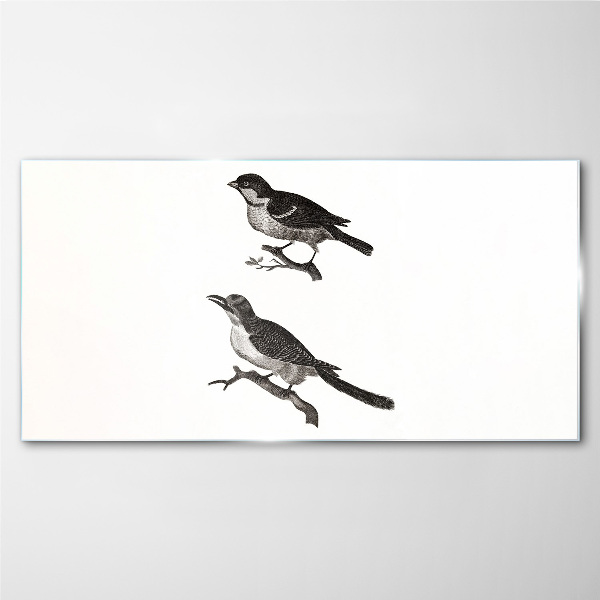 Tableau photo sur verre Oiseaux sur une branche