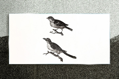 Tableau photo sur verre Oiseaux sur une branche