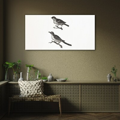 Tableau photo sur verre Oiseaux sur une branche