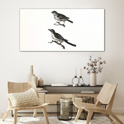 Tableau photo sur verre Oiseaux sur une branche