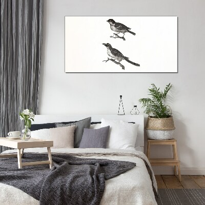 Tableau photo sur verre Oiseaux sur une branche