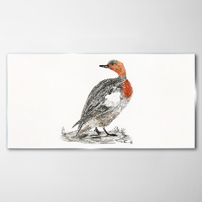 Tableau en verre Canard à cou rouge sur fond blanc