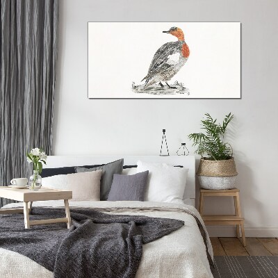 Tableau en verre Canard à cou rouge sur fond blanc