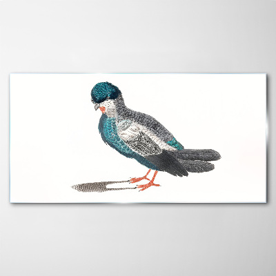 Tableau verre imprimé Oiseau coloré sur fond blanc