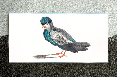 Tableau verre imprimé Oiseau coloré sur fond blanc