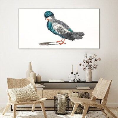 Tableau verre imprimé Oiseau coloré sur fond blanc