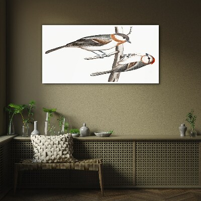 Tableau photo sur verre Rossignols sur une branche