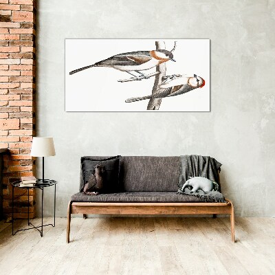 Tableau photo sur verre Rossignols sur une branche