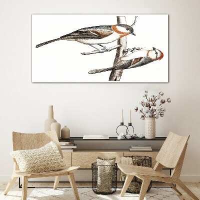 Tableau photo sur verre Rossignols sur une branche