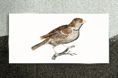 Tableau en verre Un ami ailé au style naturel