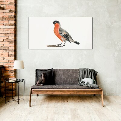 Tableau imprimé sur verre Rouge-gorge sur fond blanc