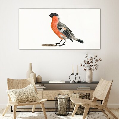 Tableau imprimé sur verre Rouge-gorge sur fond blanc