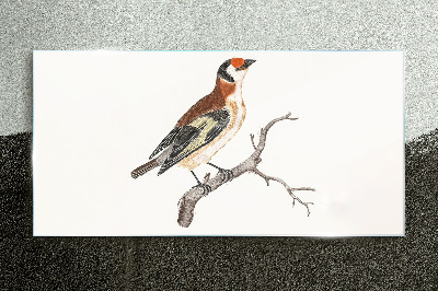 Tableau photo sur verre Un oiseau sur une branche