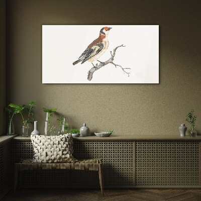 Tableau photo sur verre Un oiseau sur une branche