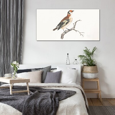 Tableau photo sur verre Un oiseau sur une branche