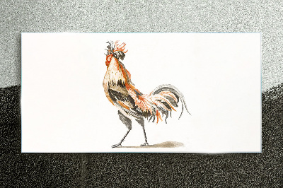 Tableau imprimé sur verre Coq en mouvement