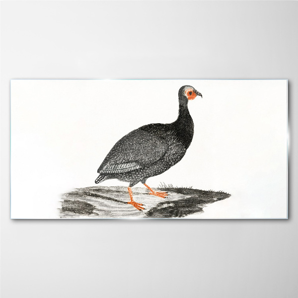 Tableau photo sur verre Oiseau noir sur fond blanc