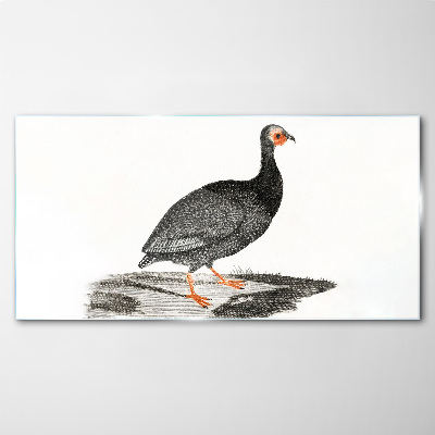 Tableau photo sur verre Oiseau noir sur fond blanc