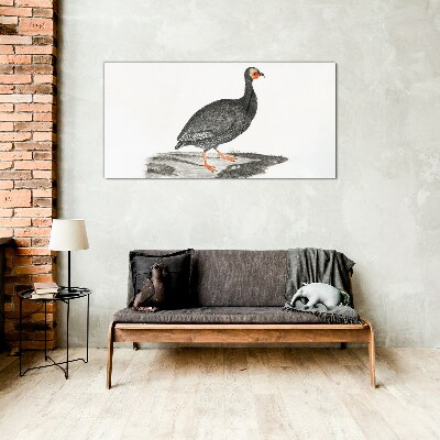 Tableau photo sur verre Oiseau noir sur fond blanc