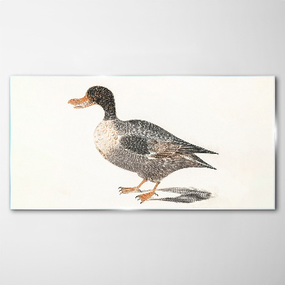 Tableau sur verre Canard de style naturaliste