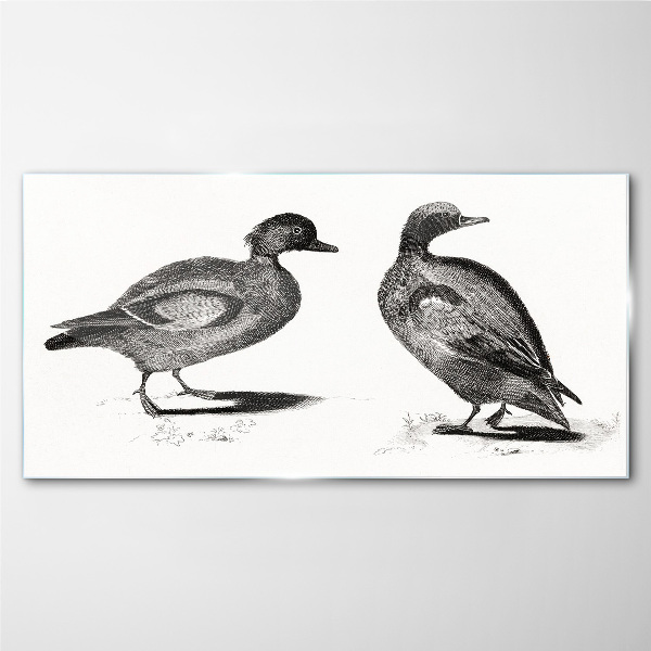 Tableau verre imprimé Deux canards dans un style monochrome