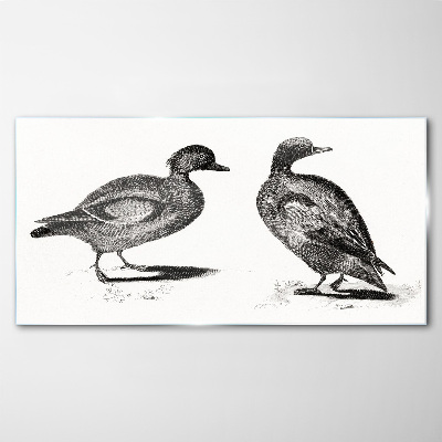 Tableau verre imprimé Deux canards dans un style monochrome