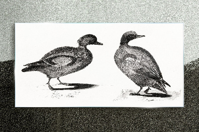 Tableau verre imprimé Deux canards dans un style monochrome