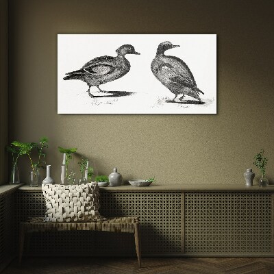 Tableau verre imprimé Deux canards dans un style monochrome