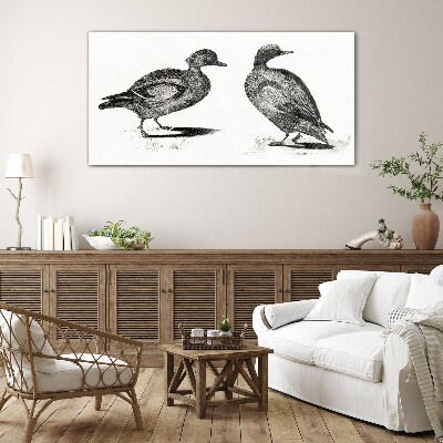 Tableau verre imprimé Deux canards dans un style monochrome