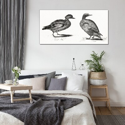 Tableau verre imprimé Deux canards dans un style monochrome