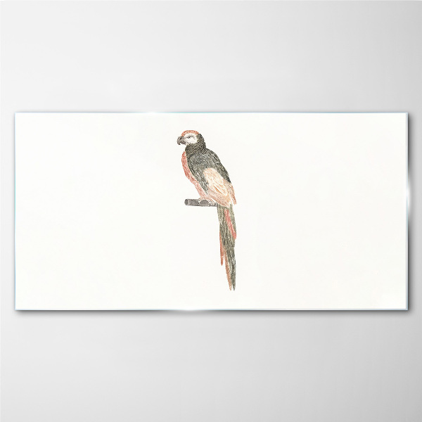 Tableau photo sur verre Un oiseau sur une branche